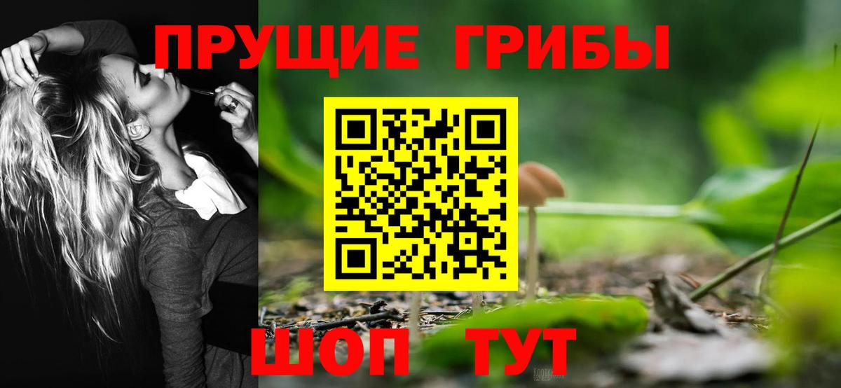 Кемерово  Галлюциногенные грибы Psilocybine cubensis  Галлюциногенные грибы мицелий  Вход с VPN 